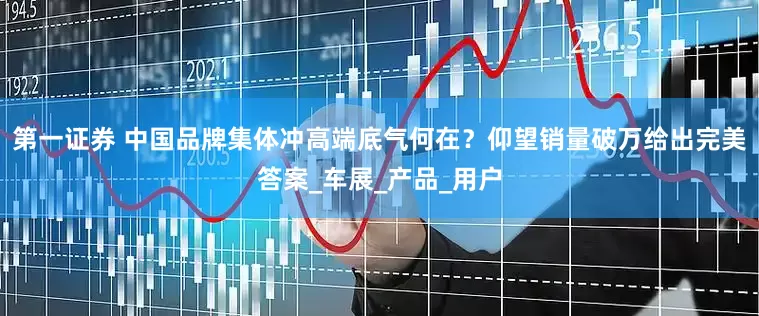 第一证券 中国品牌集体冲高端底气何在？仰望销量破万给出完美答案_车展_产品_用户