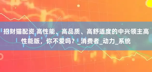 招财猫配资 高性能、高品质、高舒适度的中兴领主高性能版，你不爱吗？_消费者_动力_系统