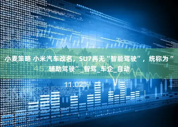 小麦策略 小米汽车改名，SU7再无“智能驾驶”，统称为“辅助驾驶”_智驾_车企_自动