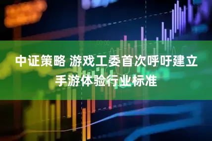 中证策略 游戏工委首次呼吁建立手游体验行业标准