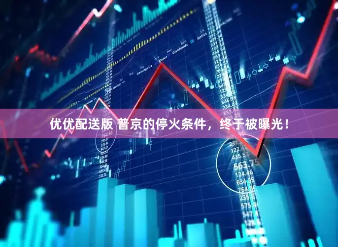 优优配送版 普京的停火条件，终于被曝光！