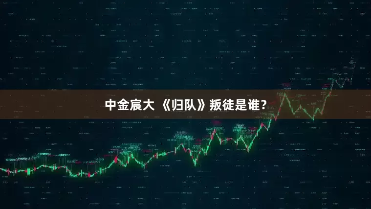 中金宸大 《归队》叛徒是谁？